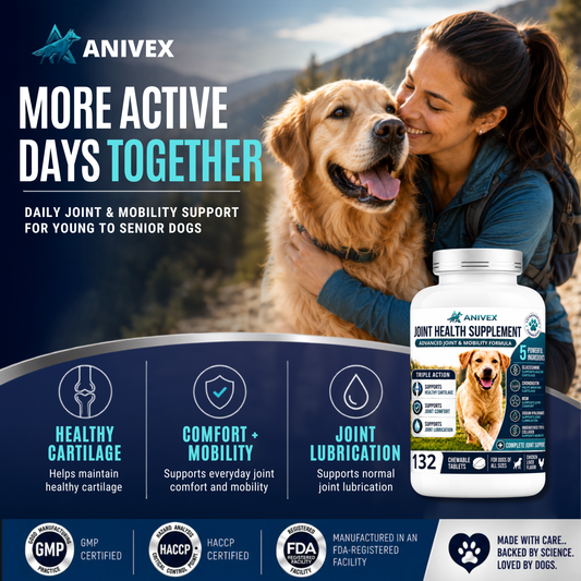 Advanced Joint & Mobility Supplement for Dogs — 132 Chewable Tablets
