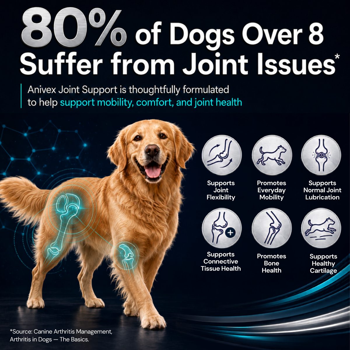 Advanced Joint & Mobility Supplement for Dogs — 132 Chewable Tablets