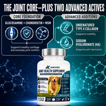 Advanced Joint & Mobility Supplement for Dogs — 132 Chewable Tablets