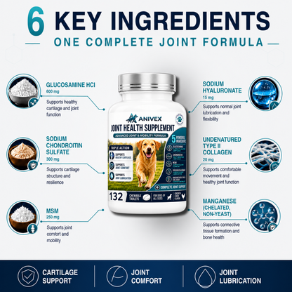 Advanced Joint & Mobility Supplement for Dogs — 132 Chewable Tablets